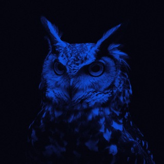 Telegram profile photo for S777