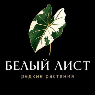 Telegram profile photo for БЕЛЫЙ ЛИСТ | редкие растения