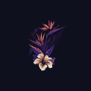Telegram profile photo for M TV | Official π₯
