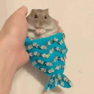 Telegram profile photo for кійоко малює