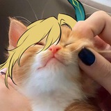 Telegram profile photo for Барахолка Каина 🌸