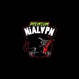 Telegram profile photo for NIALVPNSTORE