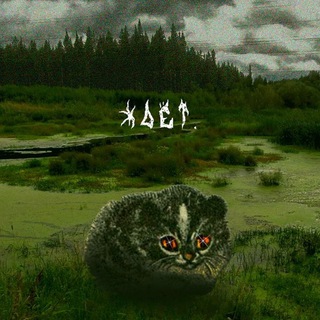 Telegram profile photo for куса