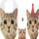 Telegram profile photo for Провода из гражданских