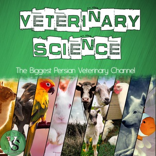 Telegram profile photo for Veterinary Science
