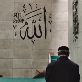 Telegram profile photo for كُن فيكون.