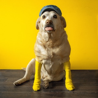 Telegram profile photo for Чат Мегаполиса 2.0