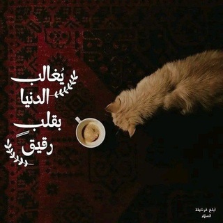 Telegram profile photo for محارب