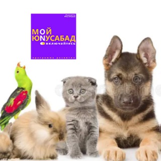 Telegram profile photo for Мой Питомец
