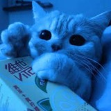 Telegram profile photo for NonLegal Portal