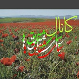 Telegram profile photo for 🌺🌺🌺سیمای شقایق ها🌺🌺🌺