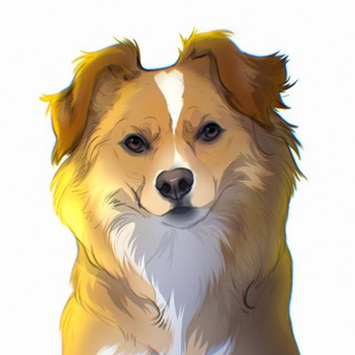 Telegram profile photo for Життя на смітнику