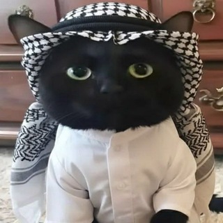 Telegram profile photo for Ядрён Батон (ЩП)