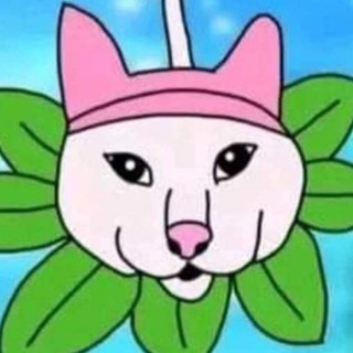 Telegram profile photo for Жизнь Верон?