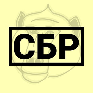 Telegram profile photo for Служба Безопасности Репана