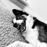 Telegram profile photo for Наркомания😺
