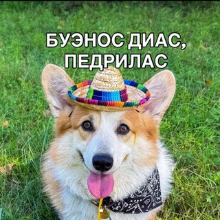 Telegram profile photo for Эчпочмак любви