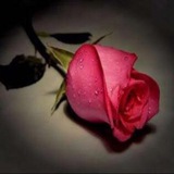 Telegram profile photo for 💐 لحظة💞صمت 💐
