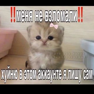 Telegram profile photo for Развлекательный уголок😈