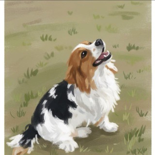 Telegram profile photo for LAIMA.OFF