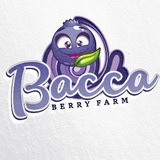 Telegram profile photo for Ягідна ферма "Bacca"