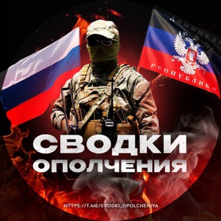 Telegram profile photo for Сводки ополчения