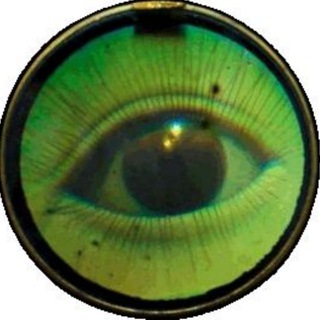 Telegram profile photo for ♯Mαterîαl