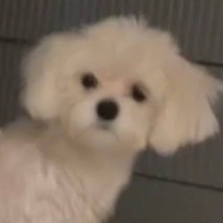Telegram profile photo for это точно юля бо.