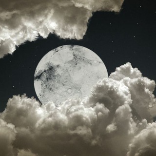 Telegram profile photo for Cloudy Nights