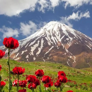 Telegram profile photo for دردنامه
