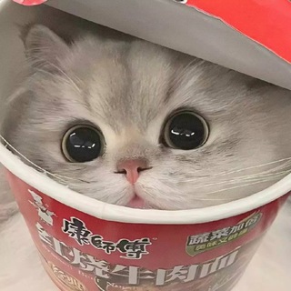 Telegram group profile photo for 马尼拉屌炸天交流群