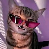 Telegram profile photo for Деззловик на азурке
