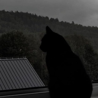 Telegram profile photo for берцинаб калам