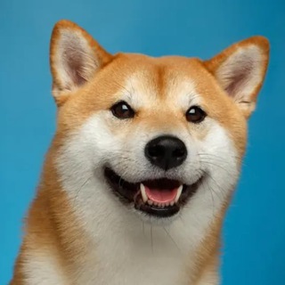 Telegram profile photo for DeFi Crypto Ann