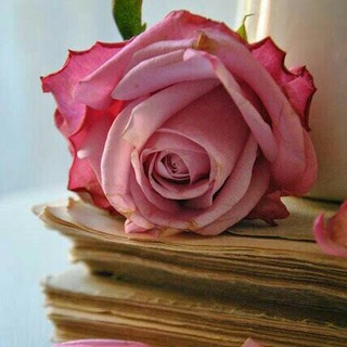 Telegram profile photo for إقتباسات قارئة 🌸🍃