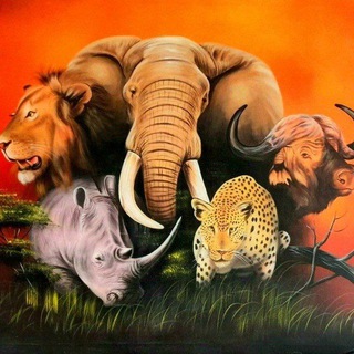 Telegram profile photo for 🤡🌍The🦁Big5🐘NWO🦏Conspiracy🐆Channel🐃🤡🌍