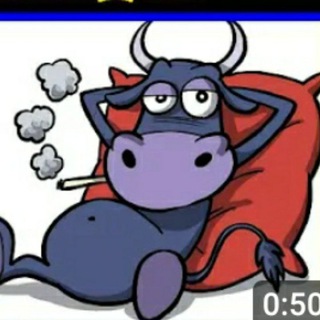 Telegram group profile photo for UNDICESIMO TORO ♉