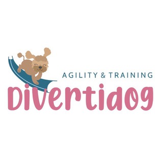 Telegram profile photo for Pruebas Divertidog