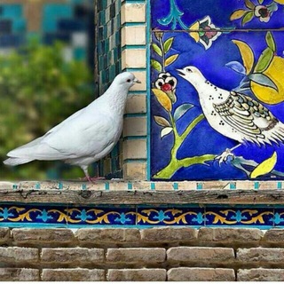 Telegram profile photo for چل تیکّه