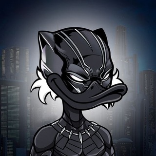Telegram profile photo for HyperDuck Calls