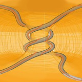 Telegram profile photo for Do worms dream about torus genus?