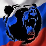 Telegram profile photo for Русский Медведь