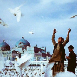 Telegram profile photo for دالر مزار شریف