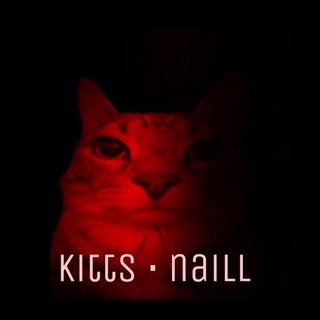 Telegram profile photo for kitts • naill