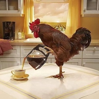 Telegram profile photo for рисовашкэ медио