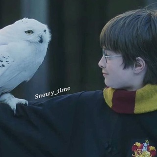 Telegram profile photo for πΊπππππ»πππ | π°π΅ππΆ