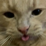 Telegram profile photo for Agaj