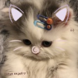Telegram profile photo for archive enjell