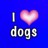 Telegram profile photo for грустный конец этого тгк