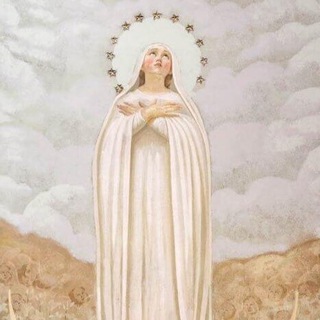 Telegram profile photo for Parrocchia di S. Maria Immacolata - Verona
